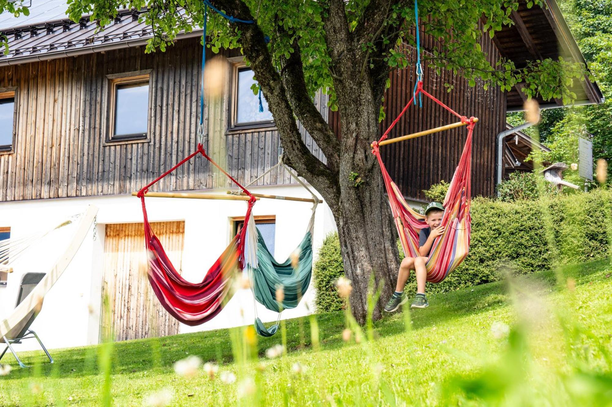 Hornergut Apartment Алтенмаркт им Понгау Екстериор снимка